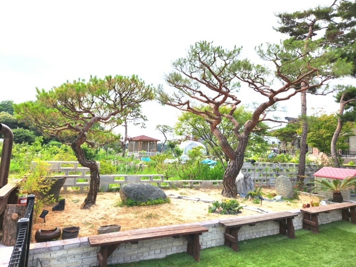 기호3 지상 조경수목 및 조경석