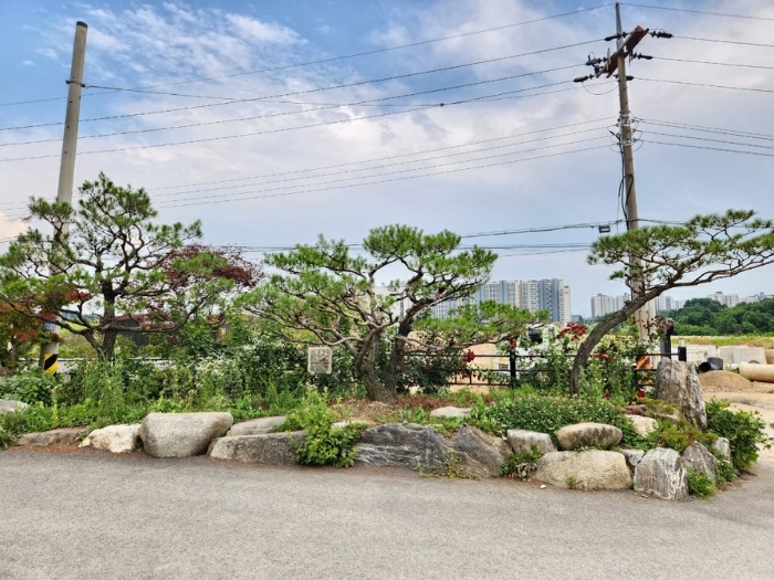 기호1 지상 조경수목, 조경석 및 정원 등