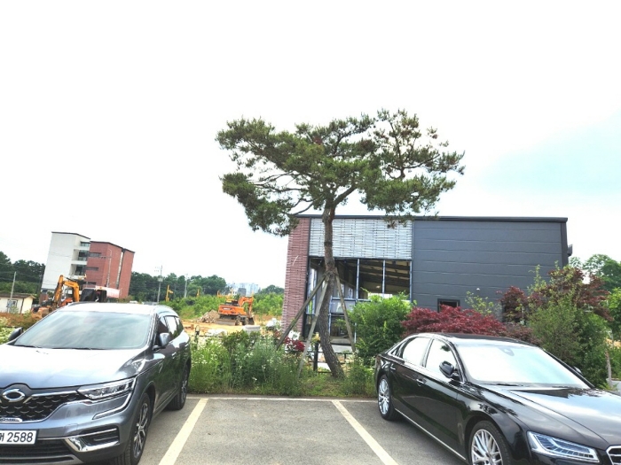 기호1 지상 조경수목