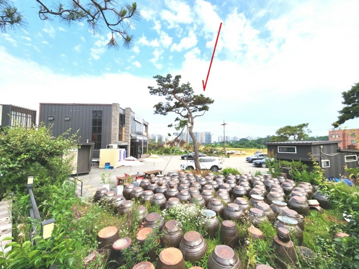 기호1 토지 및 기호2 건물 전경(북측에서 촹영)