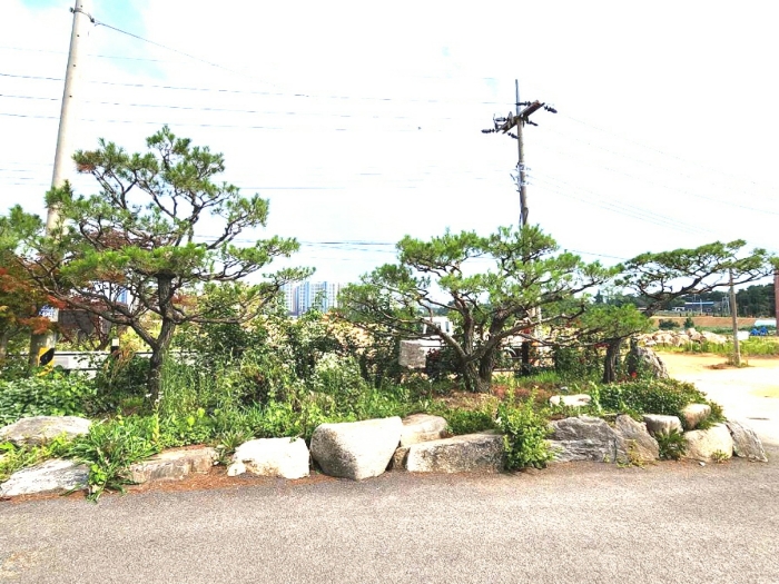 기호1 지상 조경수목, 조경석 및 정원 등