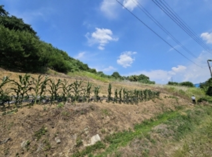 목록 1