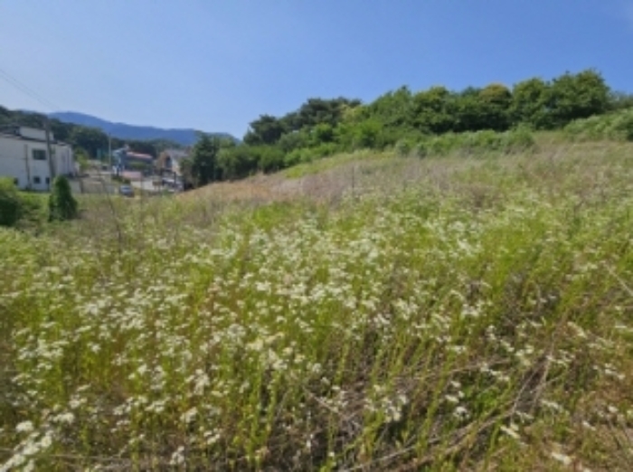 목록 1