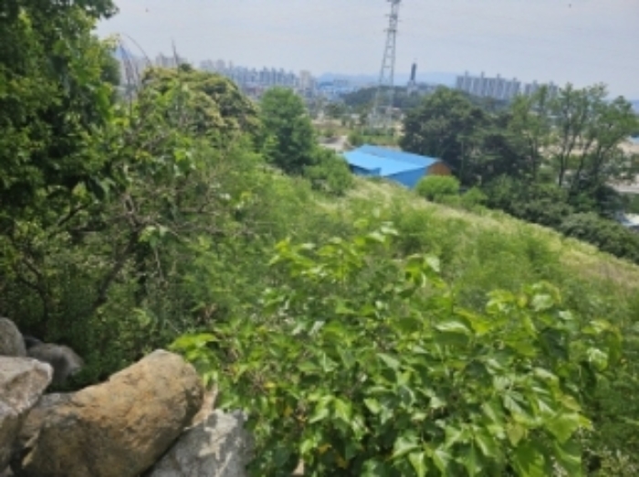 목록 1