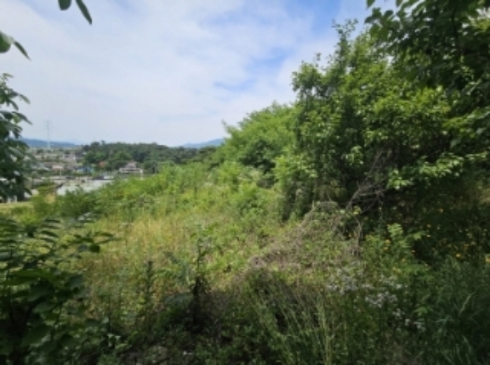 목록 1