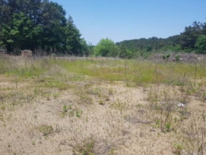 풍세면 두남리 125-2.