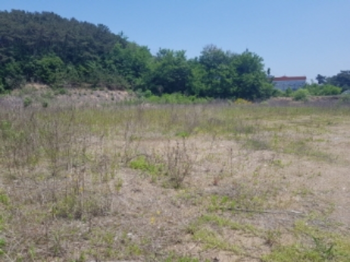 풍세면 두남리 산49-3.