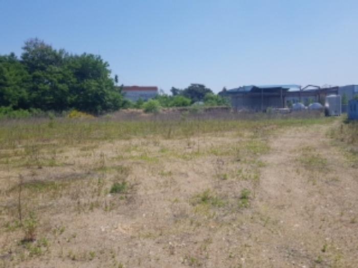 풍세면 두남리 산49-3.