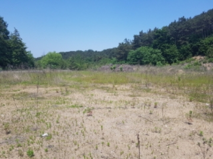 풍세면 두남리 산49-3.