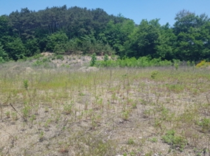 풍세면 두남리 125-2.