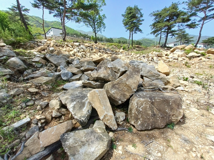 기호(1) 지상 조경석 등