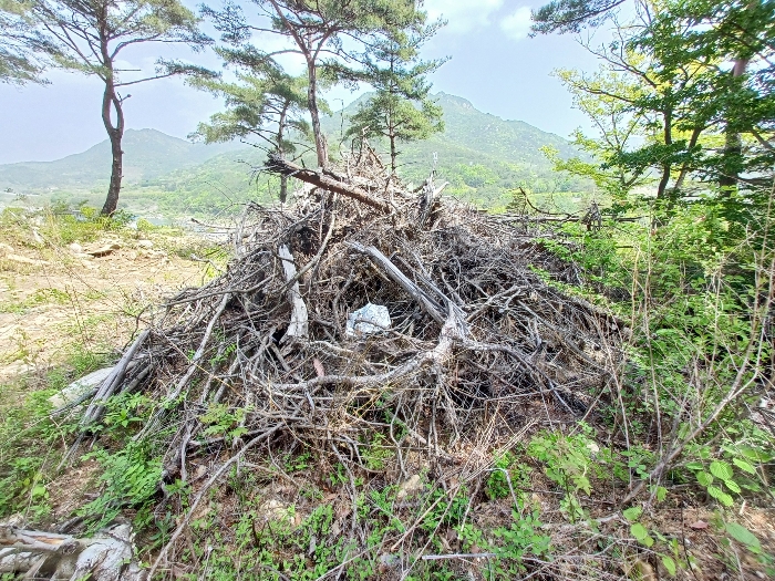 기호(1) 지상 폐목재 등