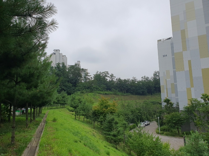 본건 전경 및 주위 환경