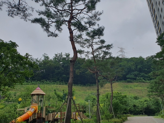 본건 전경 및 주위 환경