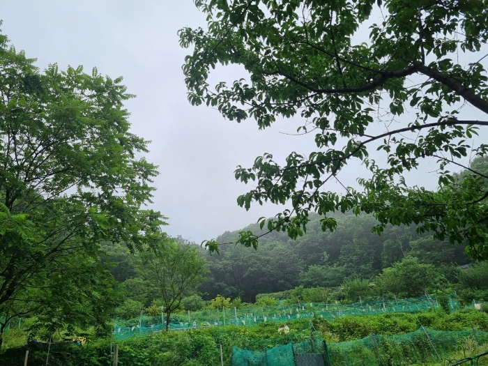 본건 남서측 근거리에서 촬영