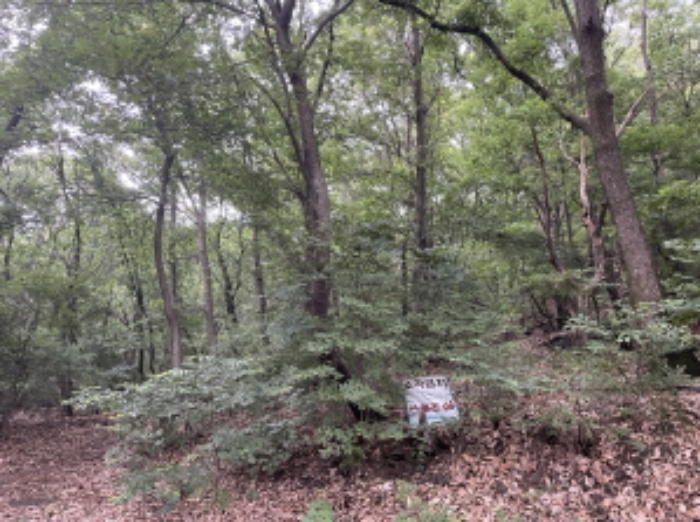 현장사진(산 69-1)