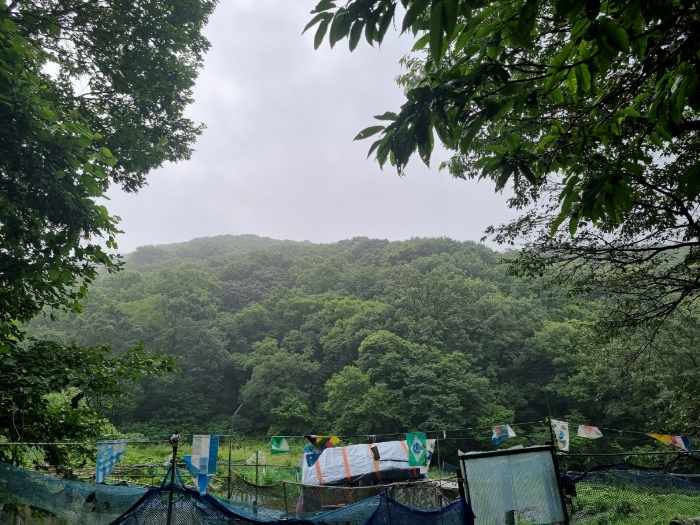 본건 남측에서 촬영