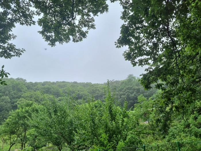 본건 남서측 근거리에서 촬영