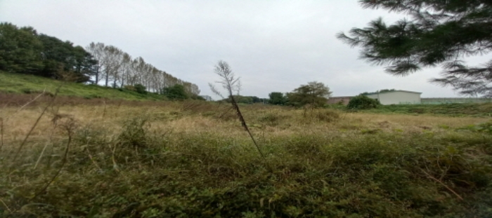 목록1~5 토지 일부 전경 