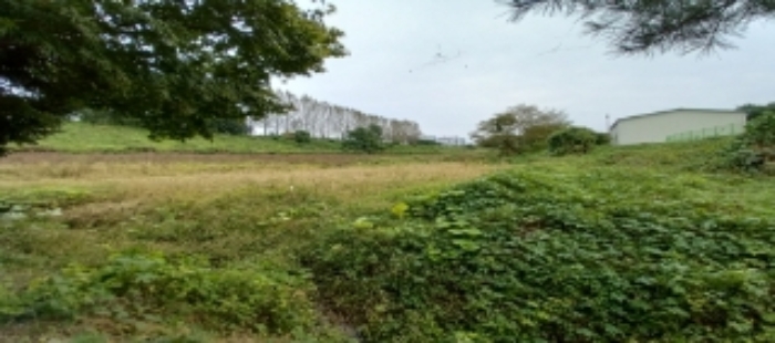 목록1~5 토지 일부 전경 