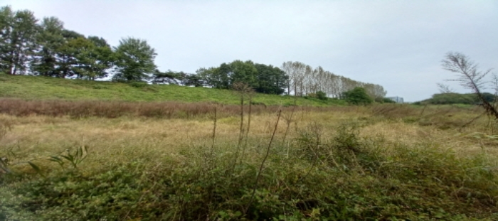 목록1~5 토지 일부 전경 