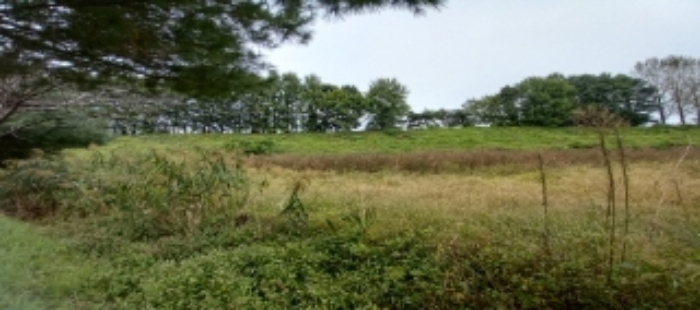 목록1~5 토지 일부 전경 