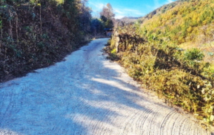 본 건(기호6번 전경)