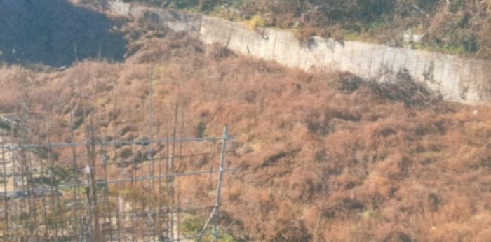 기호1,2,3번 북서측에서 촬영