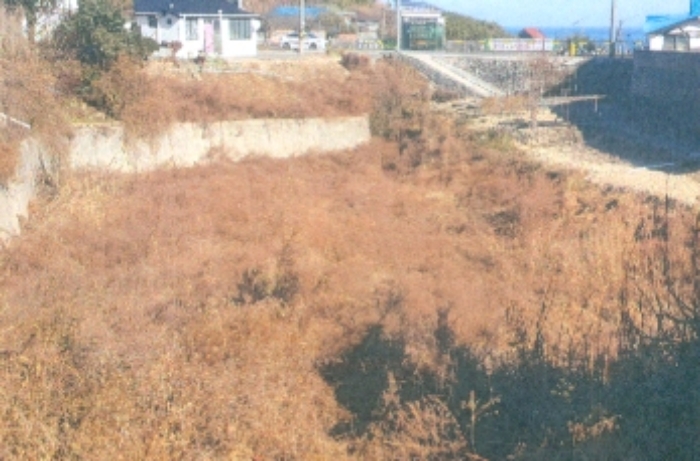 기호1,2,3번 동측에서 촬영