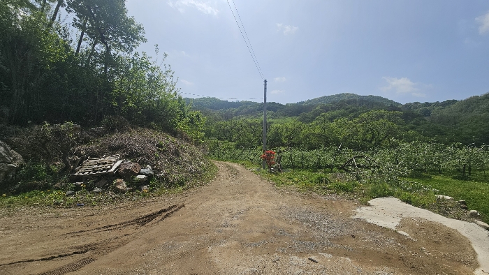 본건 임도상황_2