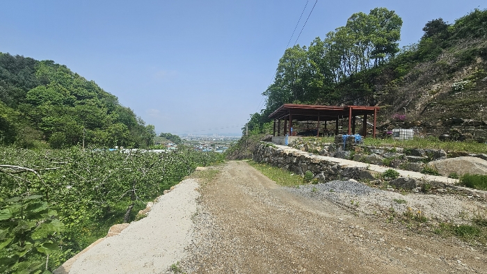 본건 임도상황_1