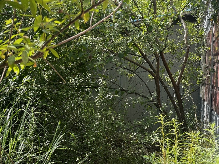 부합물 및 종물