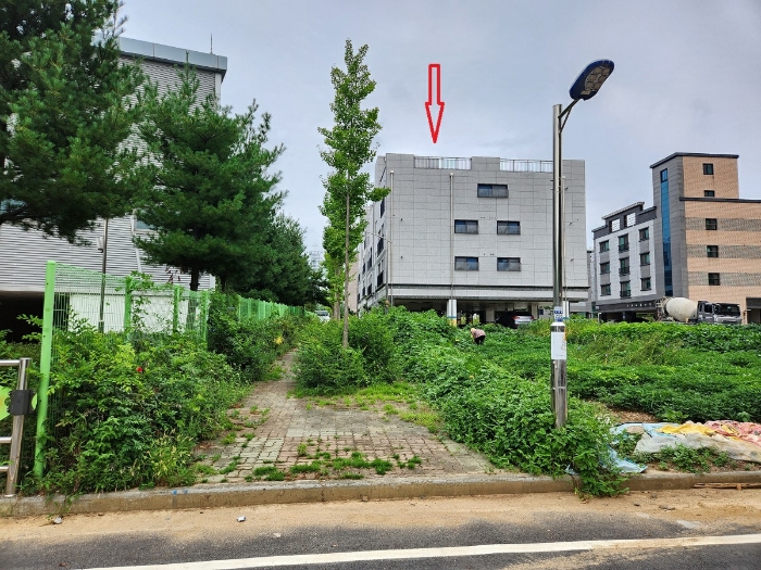 【후면의 보행자