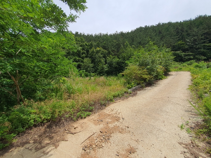 19.본건10근경(남서측전경)