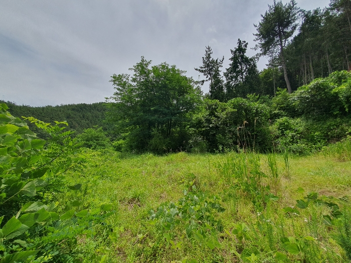 23.본건16근경(서측전경)