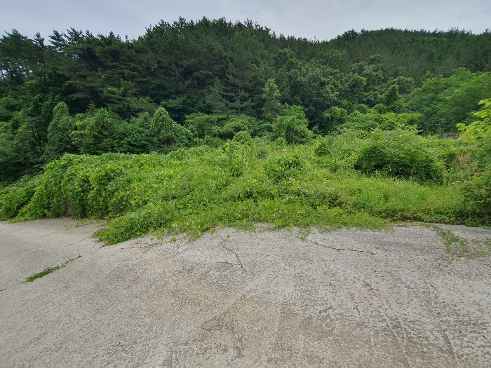 10.본건1근경(서측전경)