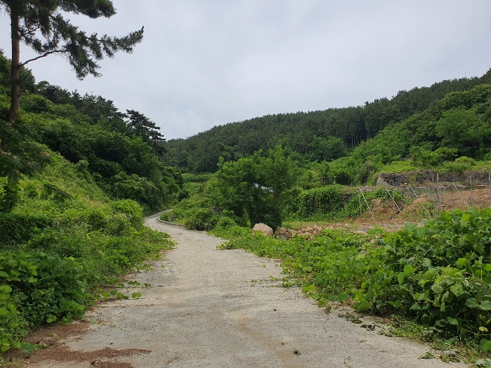 3.본건진입부분