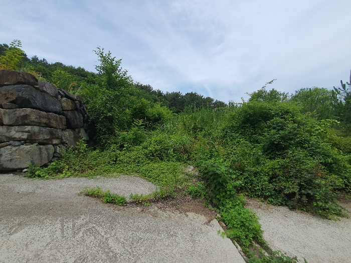 12.본건3근경(동측전경)