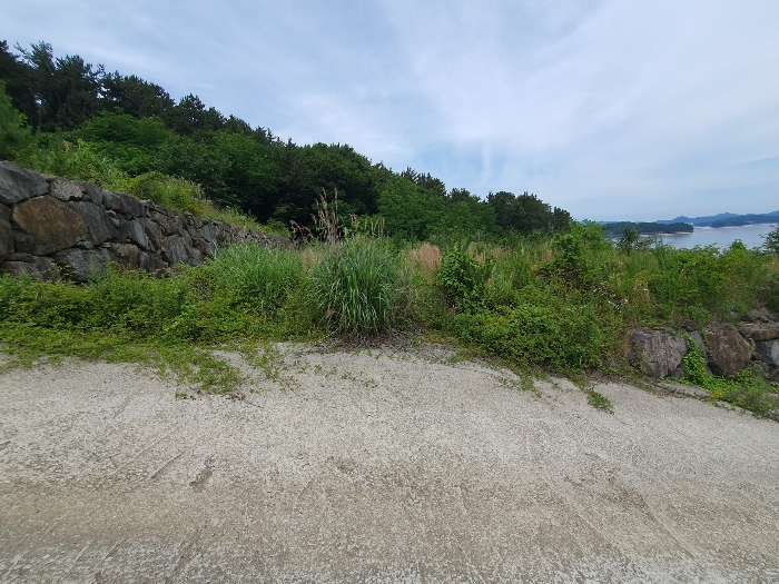 14.본건5근경(동측전경)