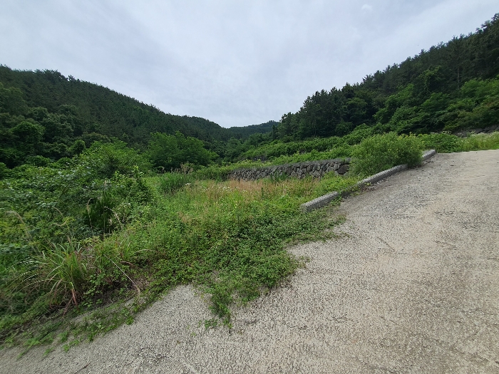 18.본건9근경(서측전경)