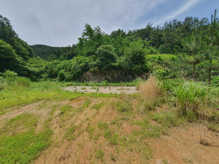 20.본건11근경(서측전경)