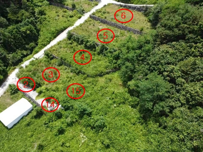 5.본건2,3,4,5,6,14,15전경(북서측상공)