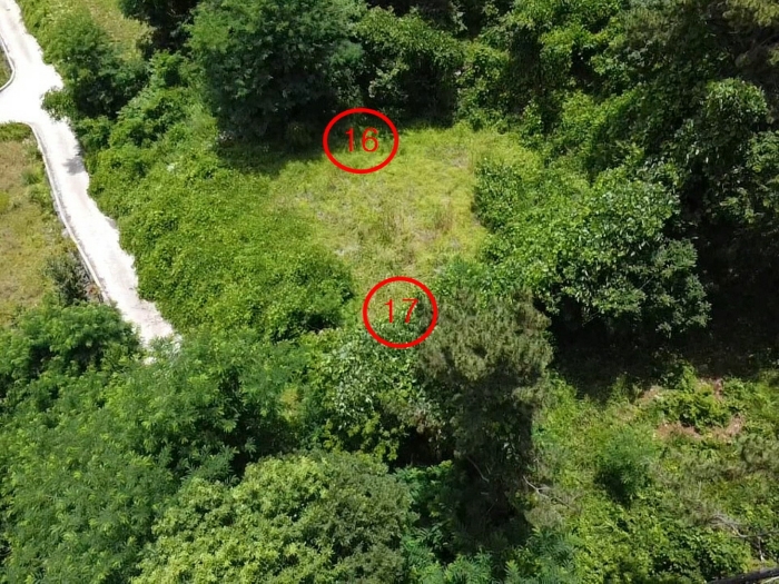 9.본건16,17전경(서측상공)