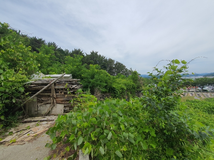 25.본건18근경(남동측전경)