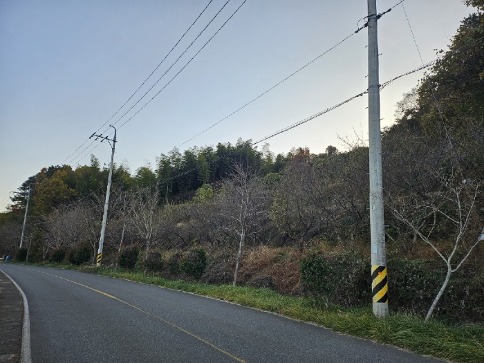 기호(1-8) 북동측에서 바라본 전경