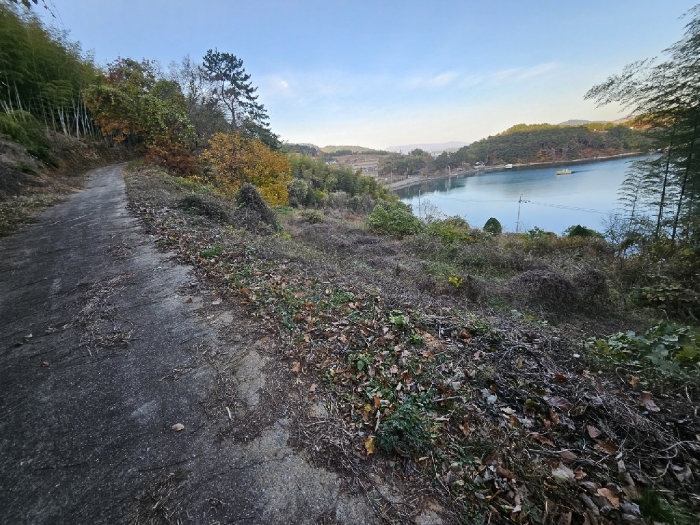 기호(1-8) 남서측에서 바라본 전경