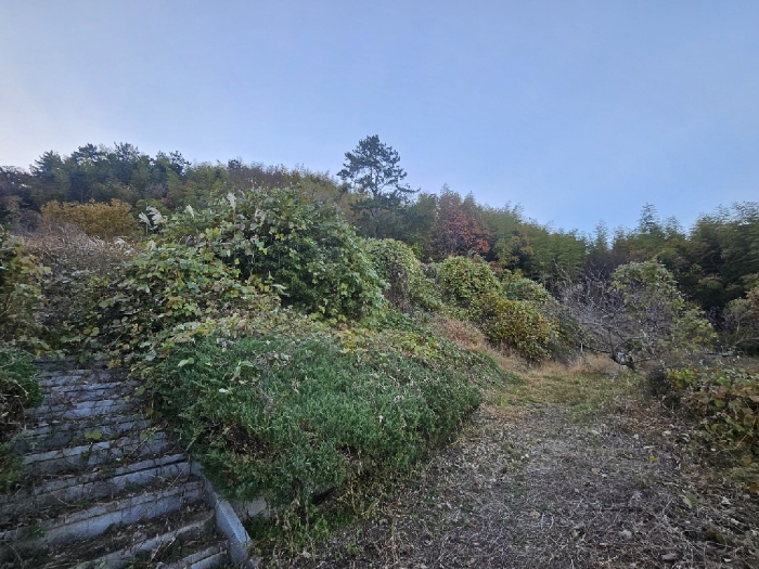 기호(1-8) 내부 전경