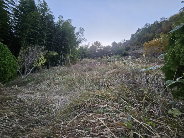 기호(1-8) 내부 전경