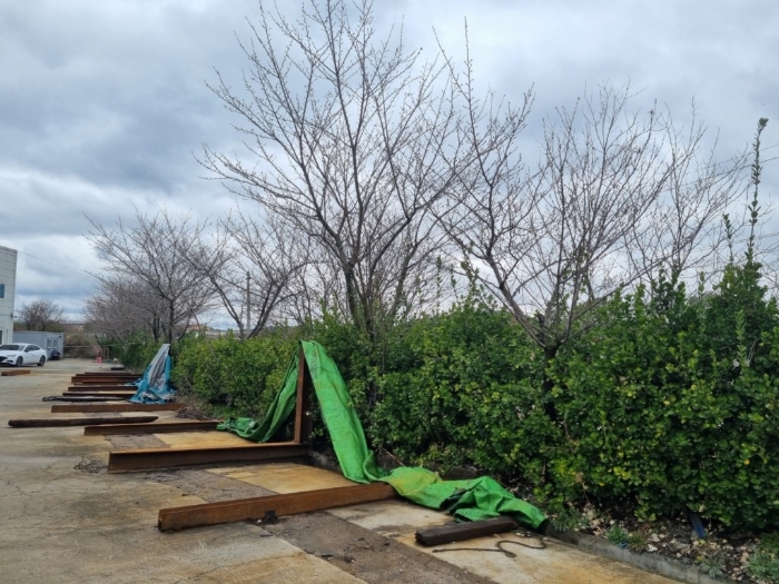 제시외수목[ ㅂ ] 