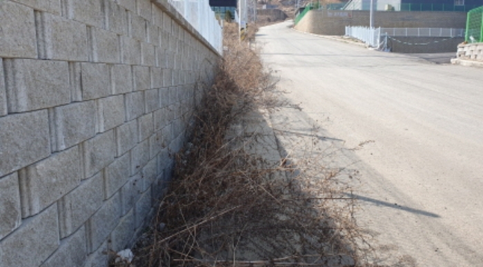 목록9 임야전경(도로와 담장 사이)